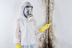  , MO Mold Removal Pros